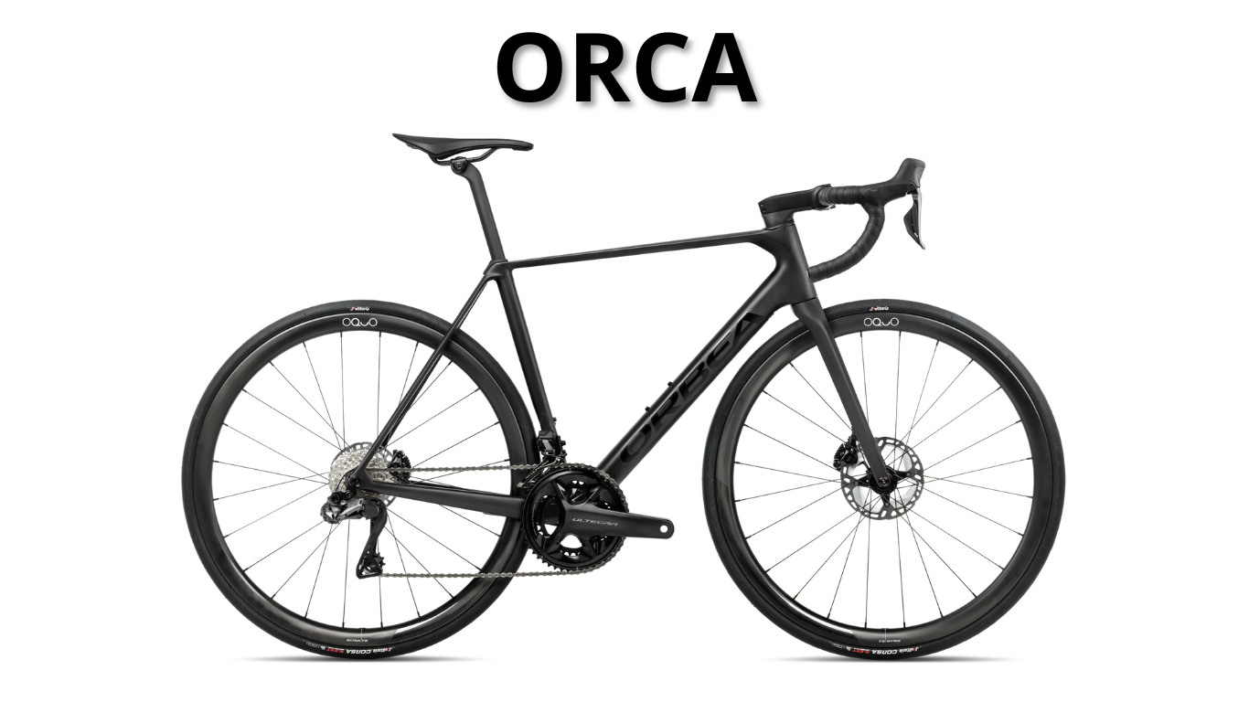 orca orbea